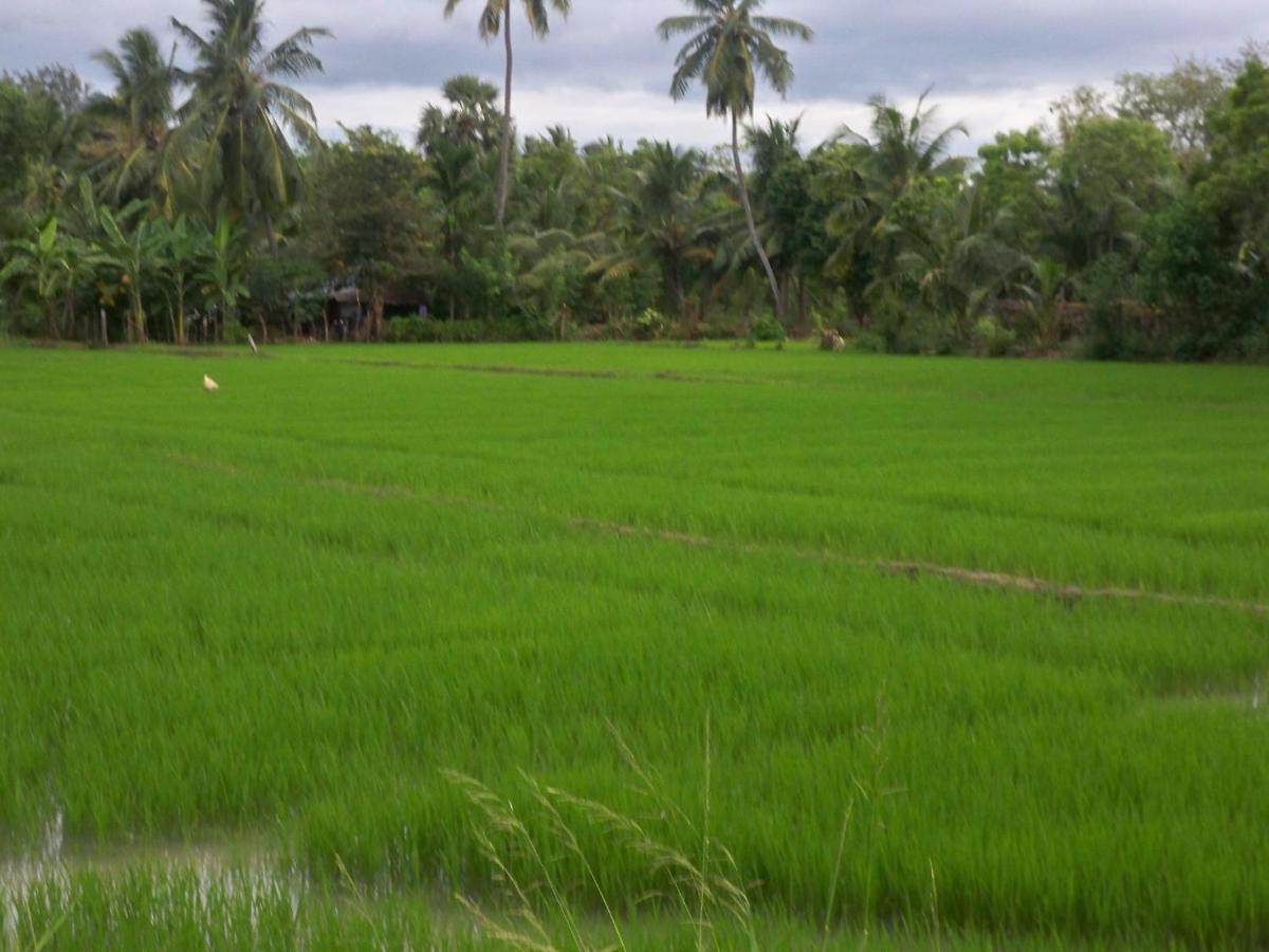 The Green View Yala Tissamaharama Dış mekan fotoğraf